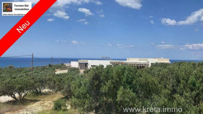 Pitsidia Kreta, Pitsidia Grundstück von 1566 m² zu verkaufen in Pitsidia Grundstück kaufen